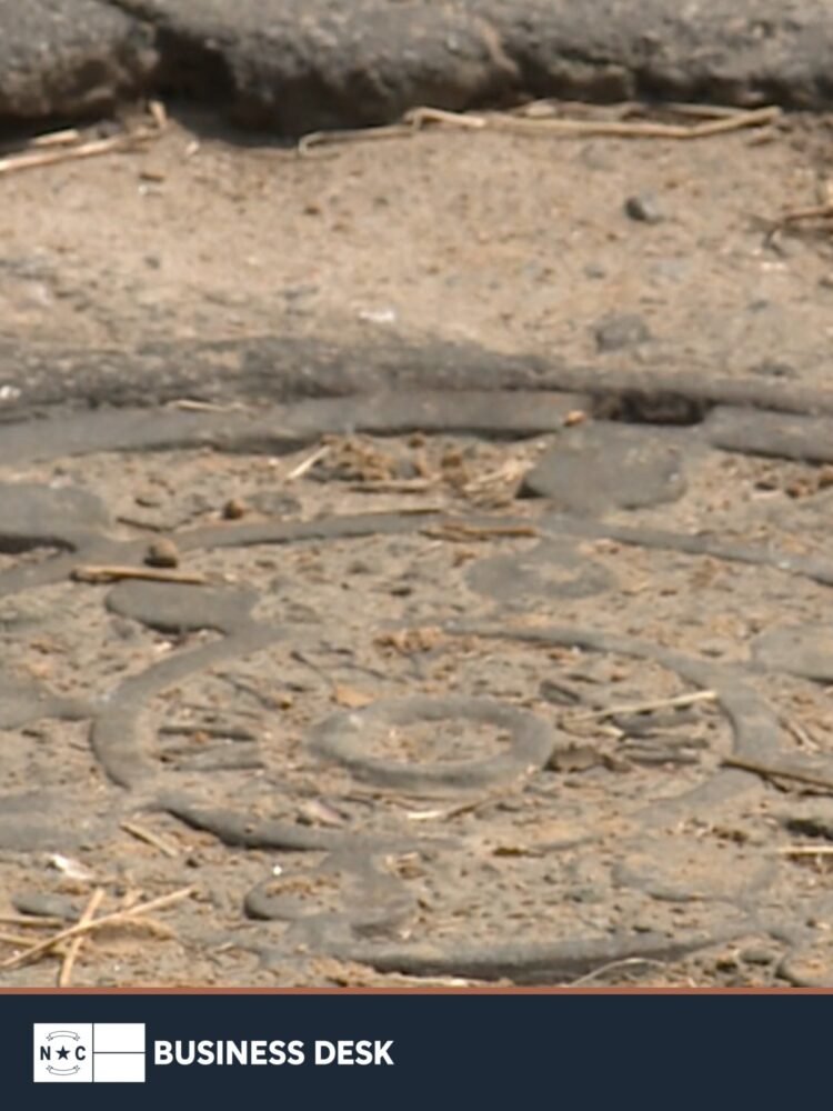 Close-up of a Rocky Mount sewer manhole cover.